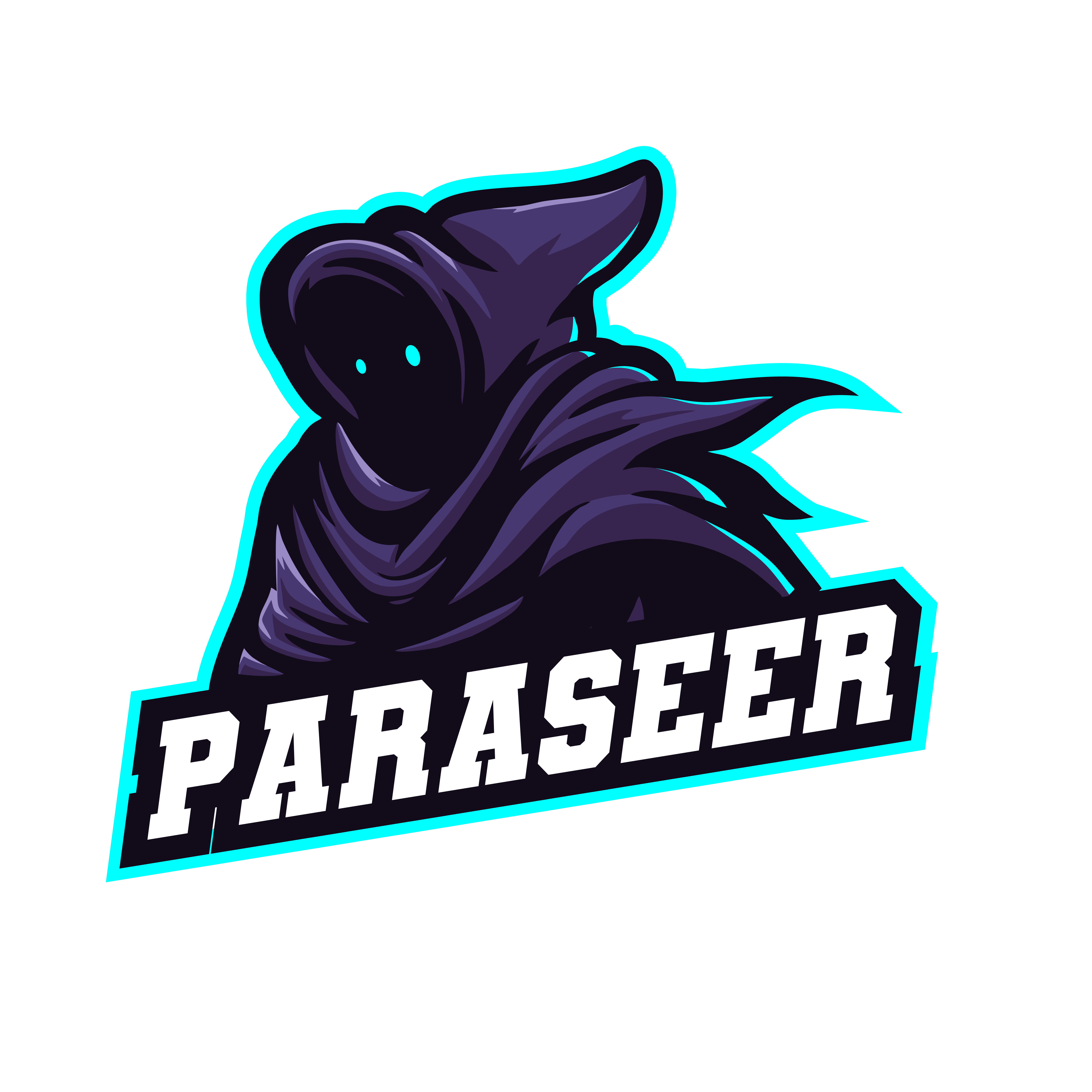 PARASEER